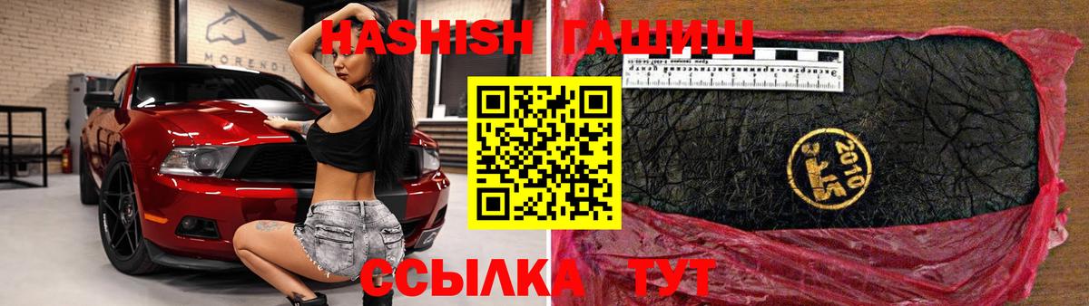 Курчалой  ГАШ  Вход с VPN  ГАШ VHQ 