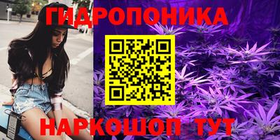 эйфоретик Заводоуковск