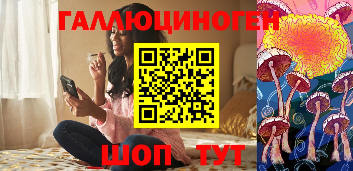 Курчалой  Псилоцибиновые грибы мицелий  Вход с VPN 
